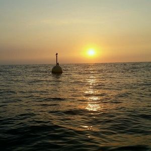 Meet your Posher, Dora